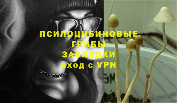 сатива Гусь-Хрустальный
