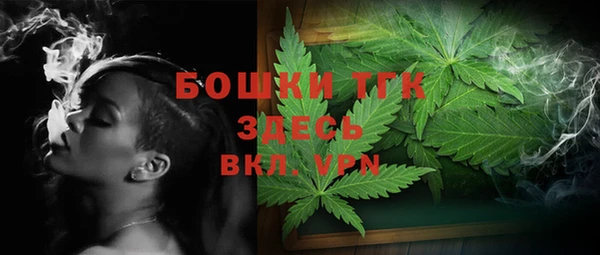 стафф Гусев
