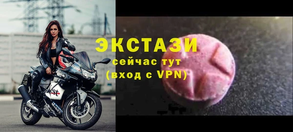 стафф Гусев
