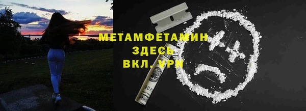 сатива Гусь-Хрустальный