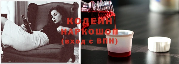 стафф Гусев