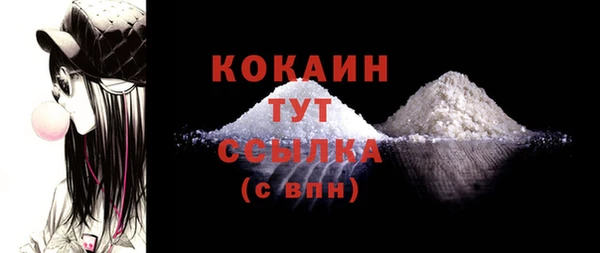 стафф Гусев