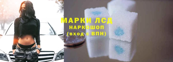 сатива Гусь-Хрустальный