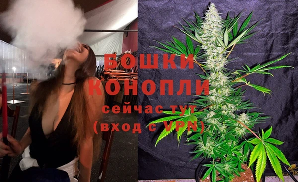 сатива Гусь-Хрустальный