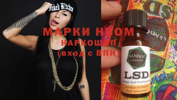 сатива Гусь-Хрустальный