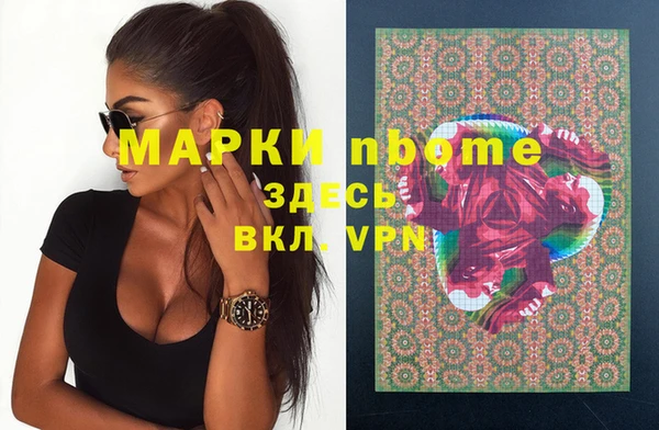 стафф Гусев