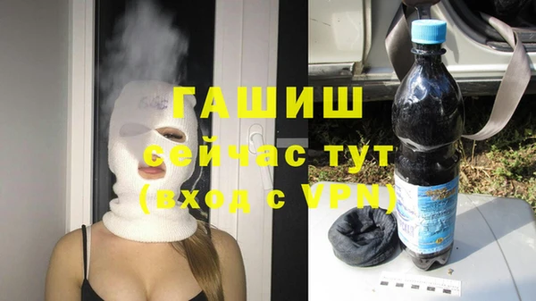 сатива Гусь-Хрустальный