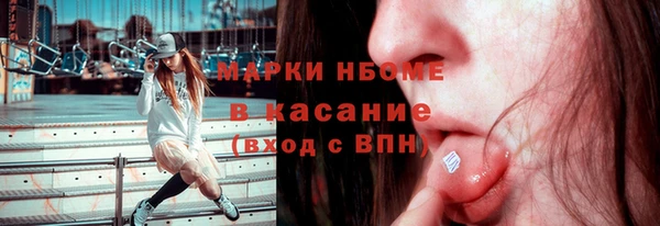 стафф Гусев
