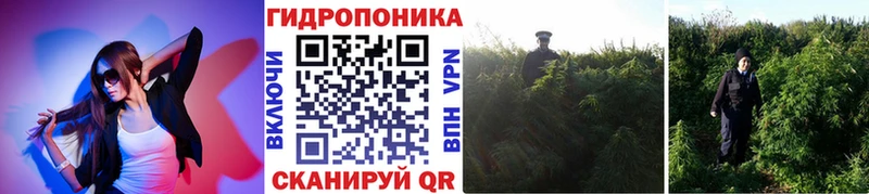 Шишки марихуана тримм Новошахтинск
